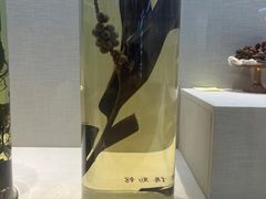 -广东中医药博物馆