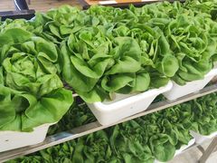 -金牌老碗时尚陕菜(王府井百货店)