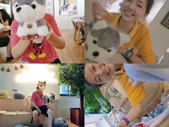 -Husky Go! 哈士奇体验馆·宠物咖啡厅狗咖