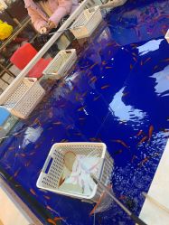 点击看大图 -润动会·家庭游乐中心(昆山前进欧尚店)