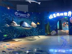-烟台海昌鲸鲨海洋公园