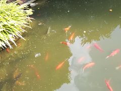 -灵光寺