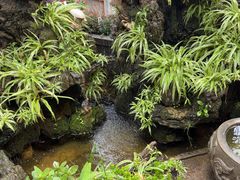 -海韵人家.海景花园经典云南菜(双廊店)