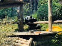 -大连森林动物园