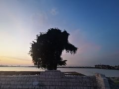 -达蓬山星梦乐园