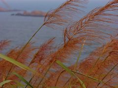 -东极岛景区