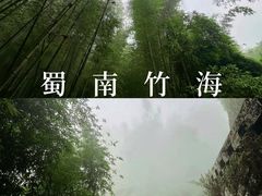 -蜀南竹海景区