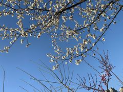 -天鹅湖体育公园