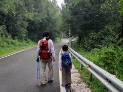 -阳台山自然风景区