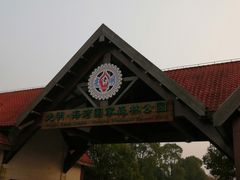 -上海海湾国家森林公园