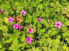 -白鹭湾湿地公园