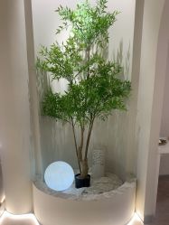 -VE专注问题肌·赛诺龙&科学美肤中心