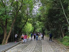 -紫金山山顶公园