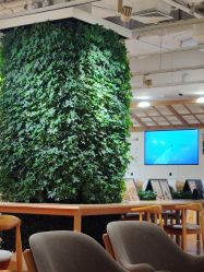 -悦诗风吟innisfree