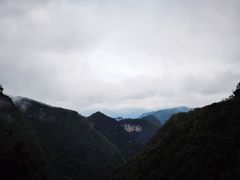 -武陵山森林公园