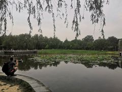 -望湖公园