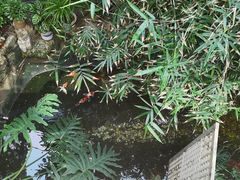 -聚缘堂·海鲜私房菜(松岭路店)