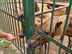 -秦皇岛野生动物园