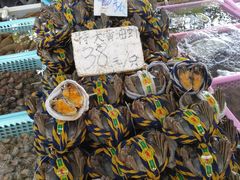 -大湾区中央湿地公园-十九涌