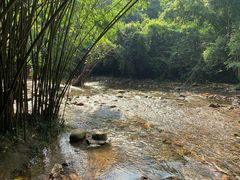 -紫云谷景区
