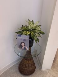 -天津伊美尔医疗整形美容专科医院