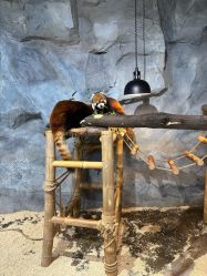 -Zoolung Zoolung动物主题公园(海信广场店)