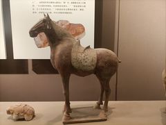 -西安大唐西市博物馆