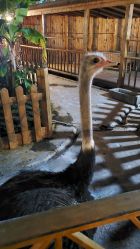 -三分地生态园·儿童乐园