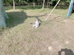 -杭州野生动物世界