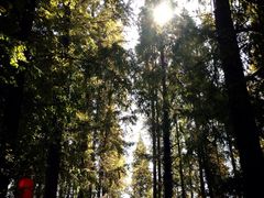 iphone_upload_pic-上海怡沁园度假酒店