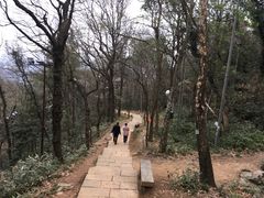 -九曜山