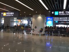 -厦门高崎国际机场-T3航站楼