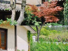 -黄陂区野村谷景区