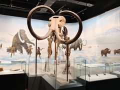 -辽宁古生物博物馆