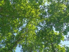 -国家植物园南园