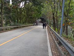 -东莞市大岭山森林公园