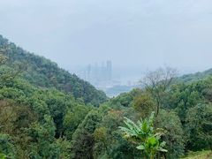 -南山植物园