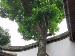 -福建省非物质文化遗产博览苑