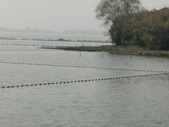-渤公岛生态公园