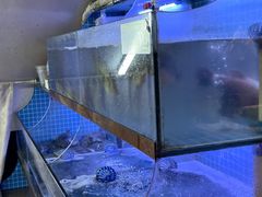 -吴掌柜·藕汤印象(南湖店)