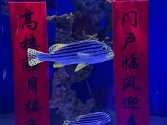 -上海海昌海洋公园