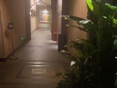 -泽云梵莲花足浴 按摩 SPA(滨湖店)