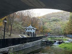 -白水寺森林公园