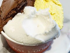 释迦果Soursop-Dal Cuore 达可芮冰淇淋(陕西北路店)