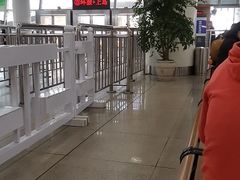 -国际邮轮中心码头(厦鼓码头)