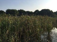 -西湖风景区-江洋畈生态公园