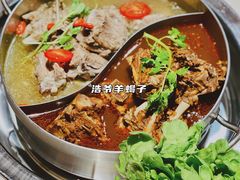 羔羊蝎子鸳鸯锅-浩爷羊蝎子火锅(望京店)