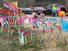 -桤木河湿地公园