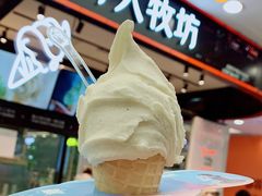 -野人先生现做冰淇淋(西安赛格店)