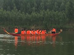 -东方巨龟苑景区